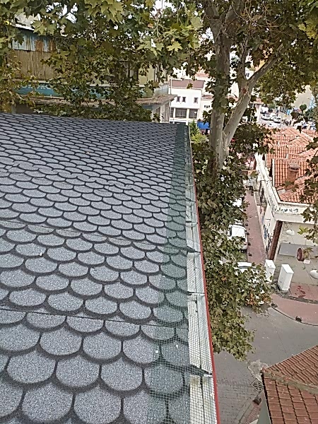 �at� Tamir ve Bak�m