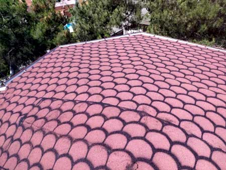 ��ng�l �at�