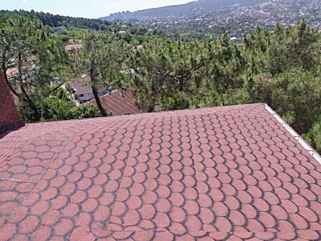 ��ng�l �at�