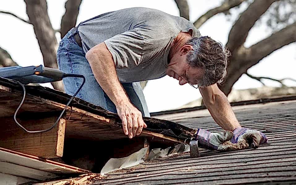 �at� muaynesi, �at� kontrol�, �at� denetimi, �at�, kontrol